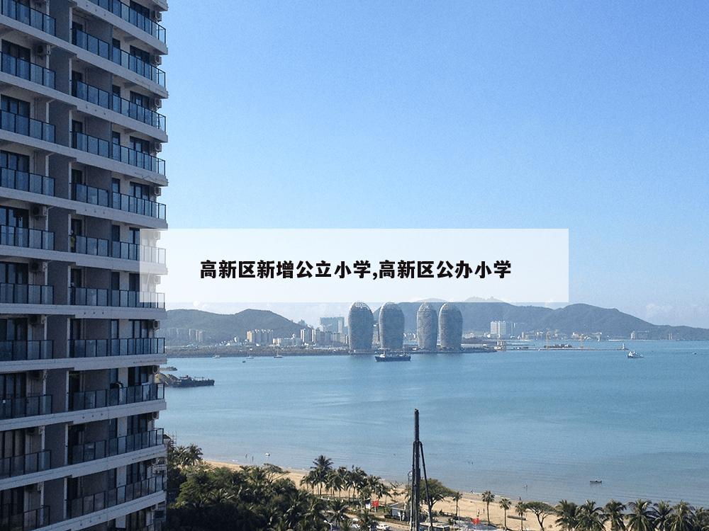 高新区新增公立小学,高新区公办小学