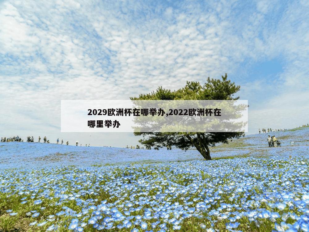 2029欧洲杯在哪举办,2022欧洲杯在哪里举办