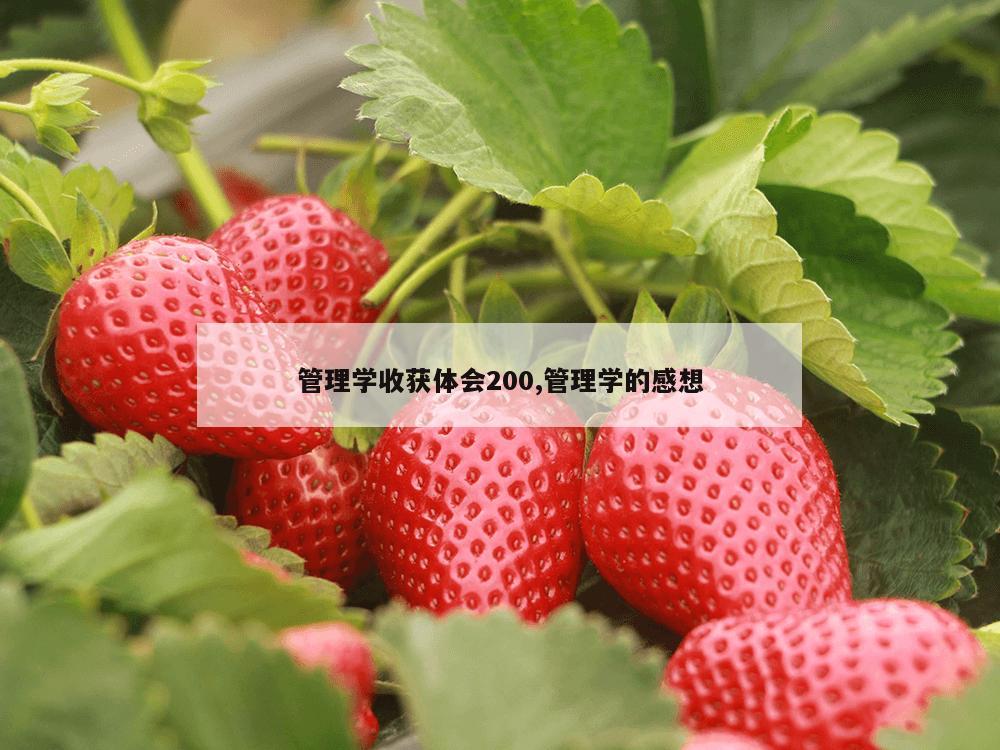 管理学收获体会200,管理学的感想