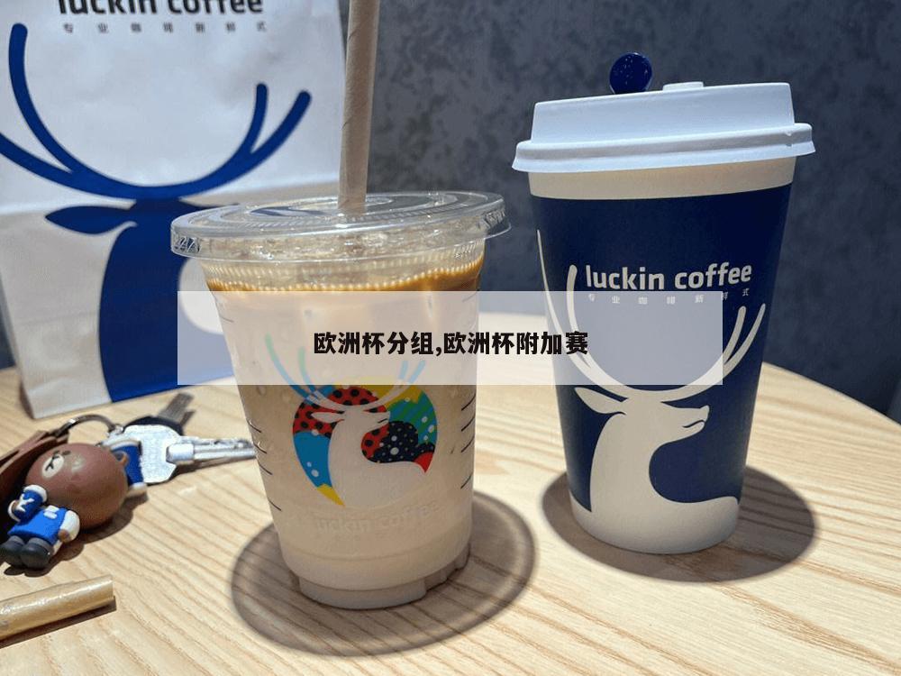 欧洲杯分组,欧洲杯附加赛