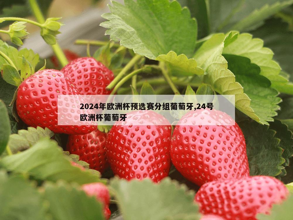 2024年欧洲杯预选赛分组葡萄牙,24号欧洲杯葡萄牙