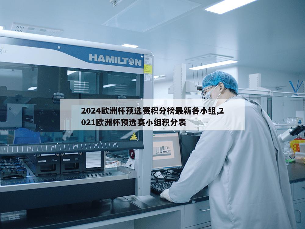 2024欧洲杯预选赛积分榜最新各小组,2021欧洲杯预选赛小组积分表