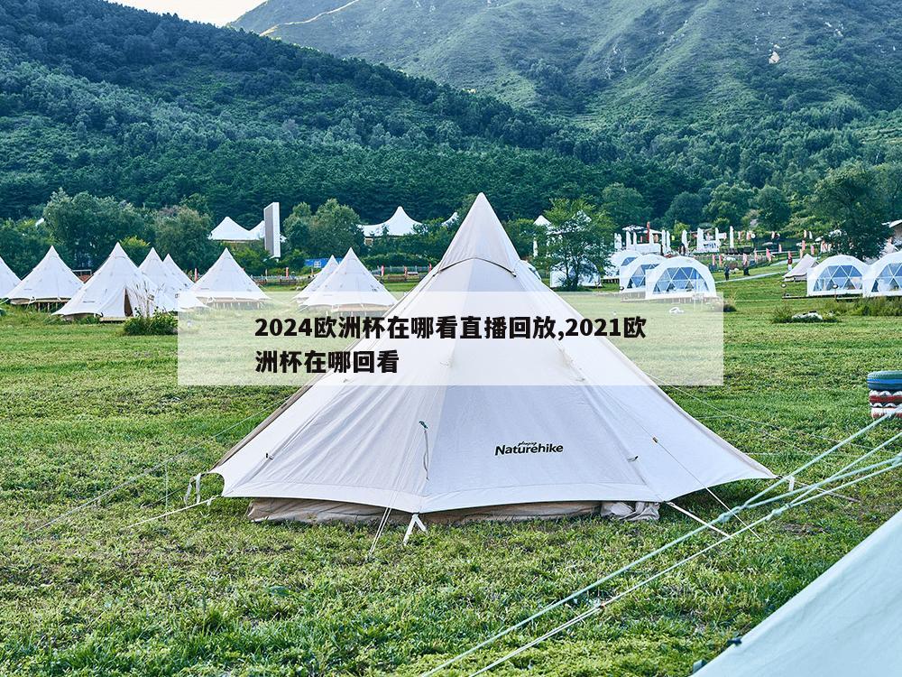 2024欧洲杯在哪看直播回放,2021欧洲杯在哪回看