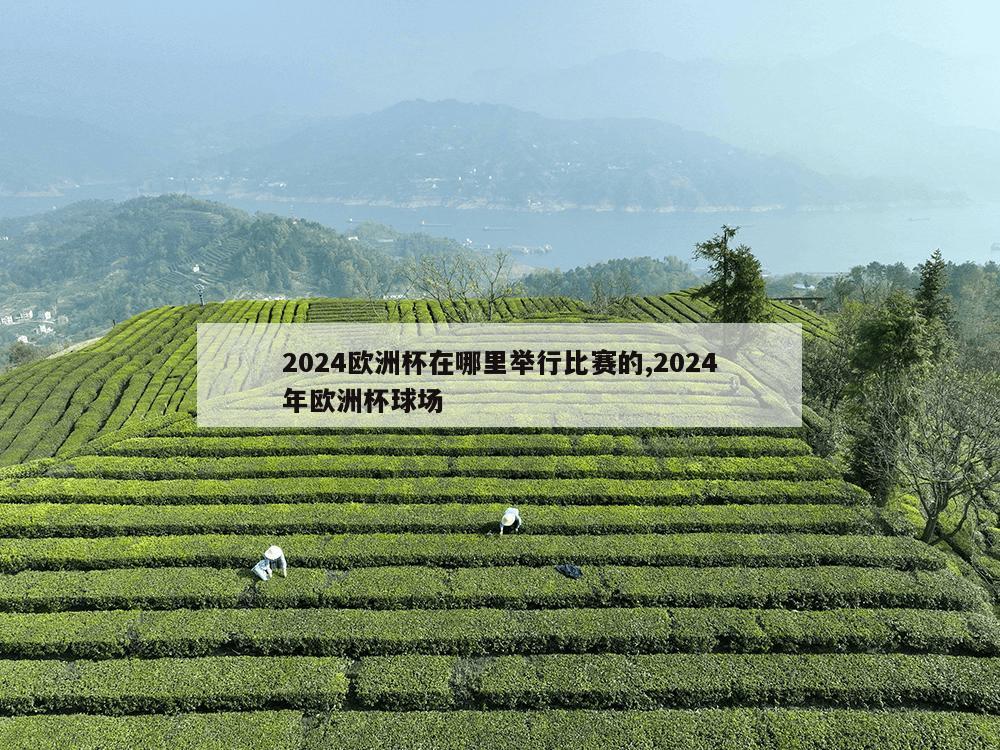 2024欧洲杯在哪里举行比赛的,2024年欧洲杯球场