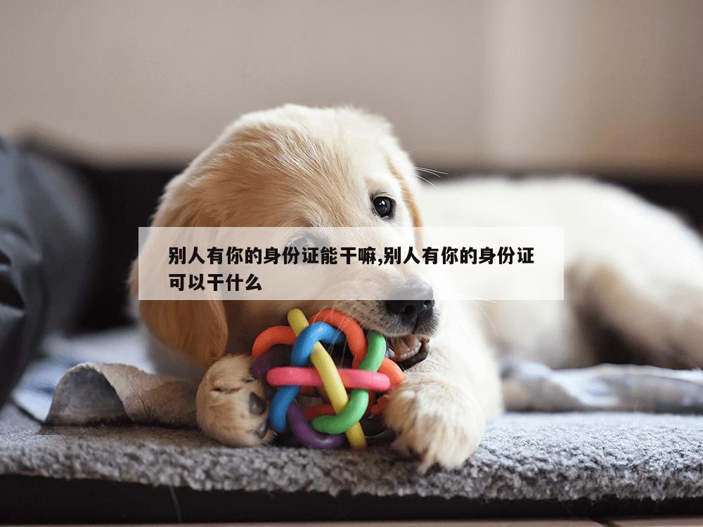 别人有你的身份证能干嘛,别人有你的身份证可以干什么