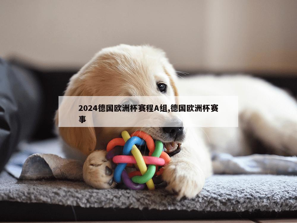 2024德国欧洲杯赛程A组,德国欧洲杯赛事