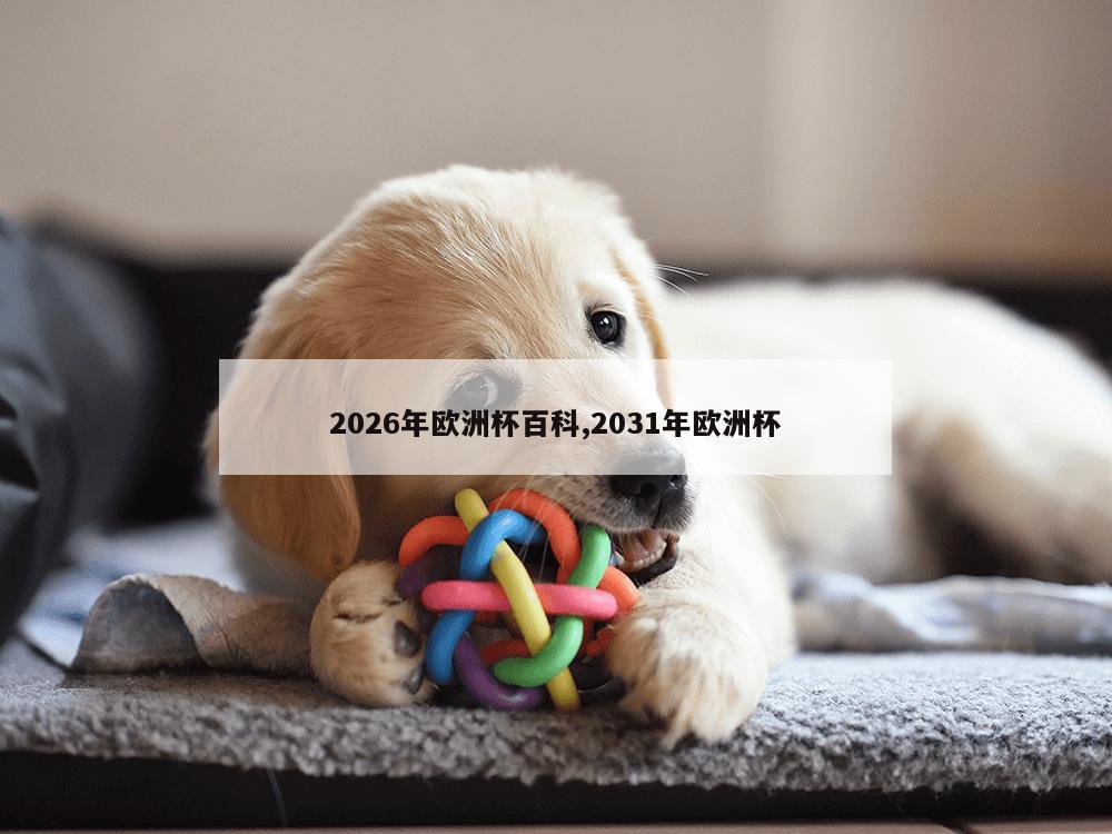 2026年欧洲杯百科,2031年欧洲杯