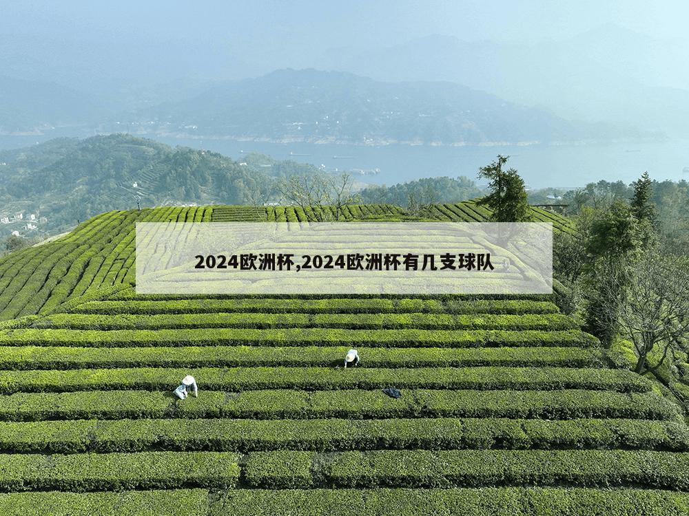 2024欧洲杯,2024欧洲杯有几支球队