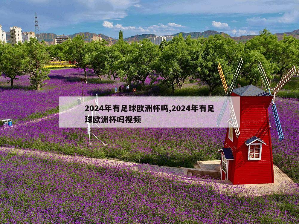 2024年有足球欧洲杯吗,2024年有足球欧洲杯吗视频