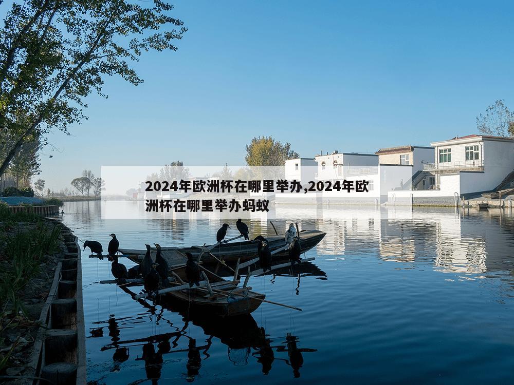 2024年欧洲杯在哪里举办,2024年欧洲杯在哪里举办蚂蚁